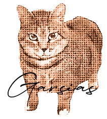 Img_Gatito